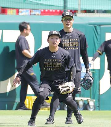 阪神 試合前練習で異例の光景 捕手の栄枝は人生初、嶋村は高校2年以来の左翼守備に挑戦 筒井外野守備走塁コーチは「チーム方針」と意図を説明