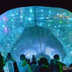 夜の動物園でこれまでにない体験を(C)モデルプレス