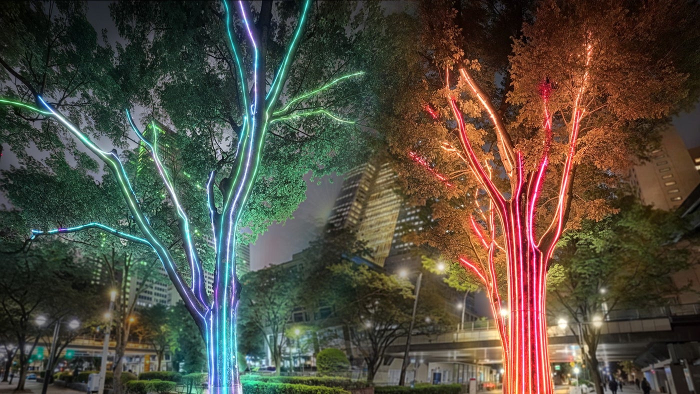 Shinjuku Neon Walk／提供画像