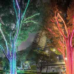 Shinjuku Neon Walk/提供画像