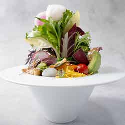 野菜の森/提供画像