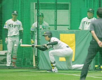 阪神・藤川監督 指名練習でバントに重点「そのシステムが取れていないということ」【一問一答】