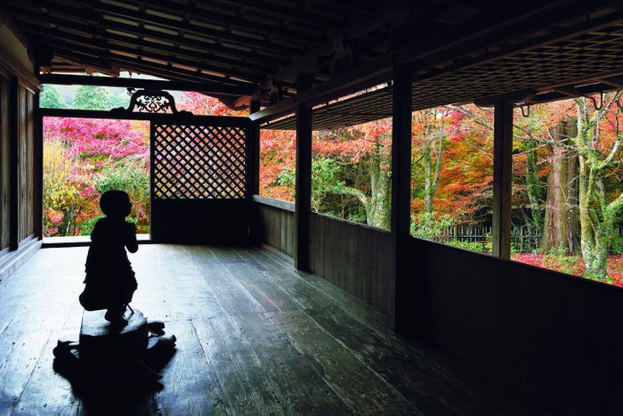 高山寺（C）ビューティーガール