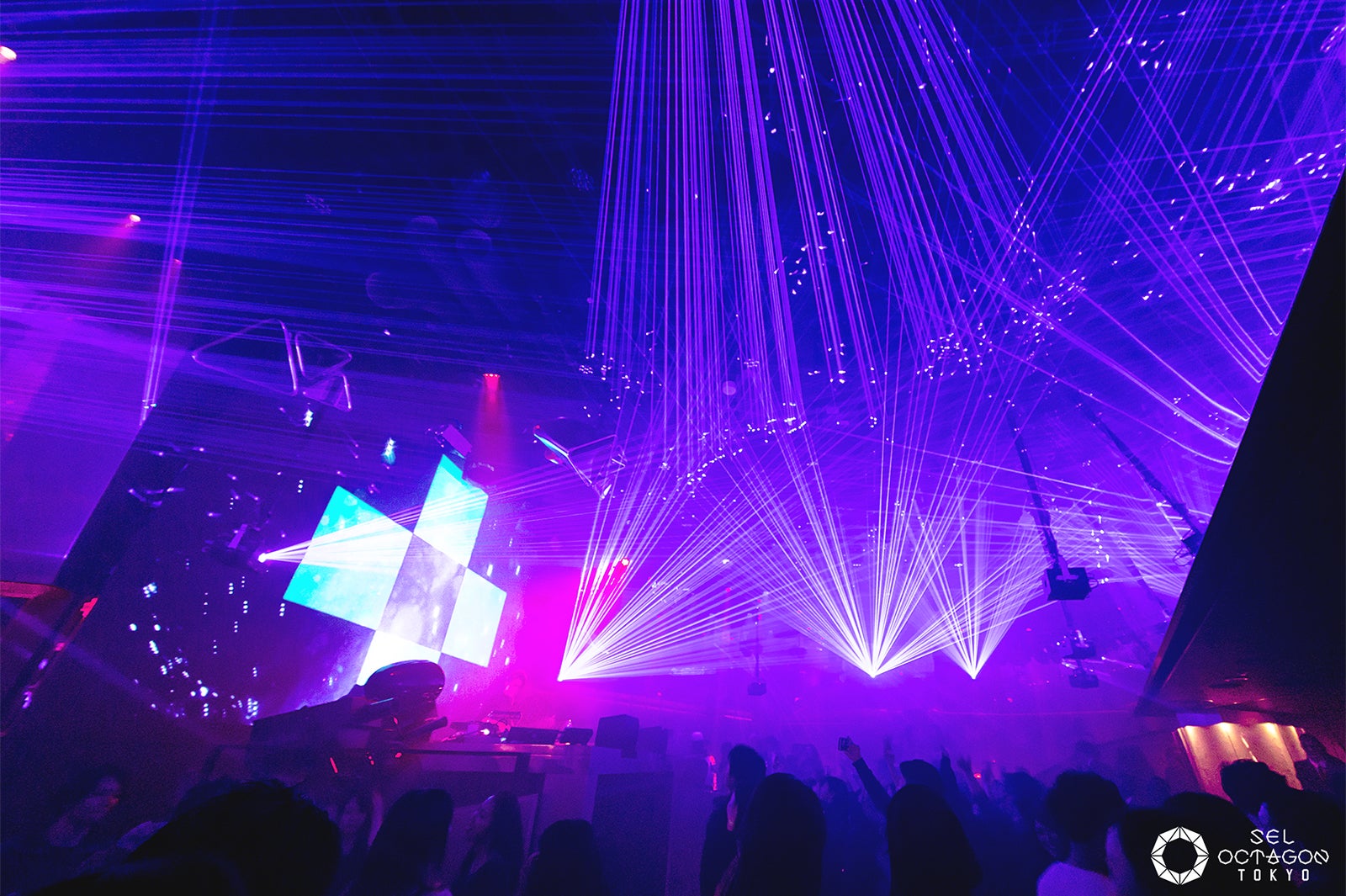 「SEL OCTAGON TOKYO」（画像提供：avex）