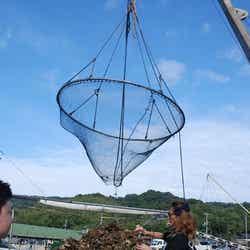 牡蠣の水揚げを体験するLie