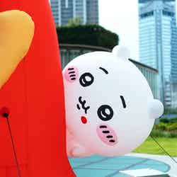 「CHIIKAWA DAYS」/提供画像