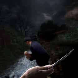 画像提供:ホテル ユニバーサル ポート