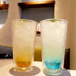 & Yogurt(C)モデルプレス