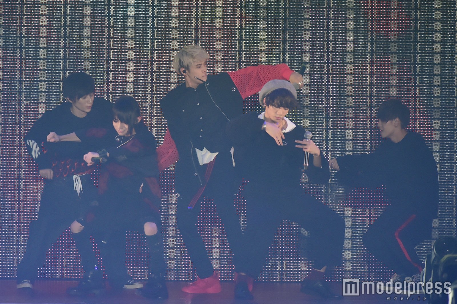 XOX（C）モデルプレス