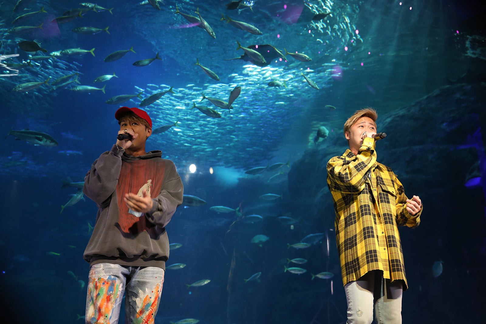 大野雄大／撮影：gaku