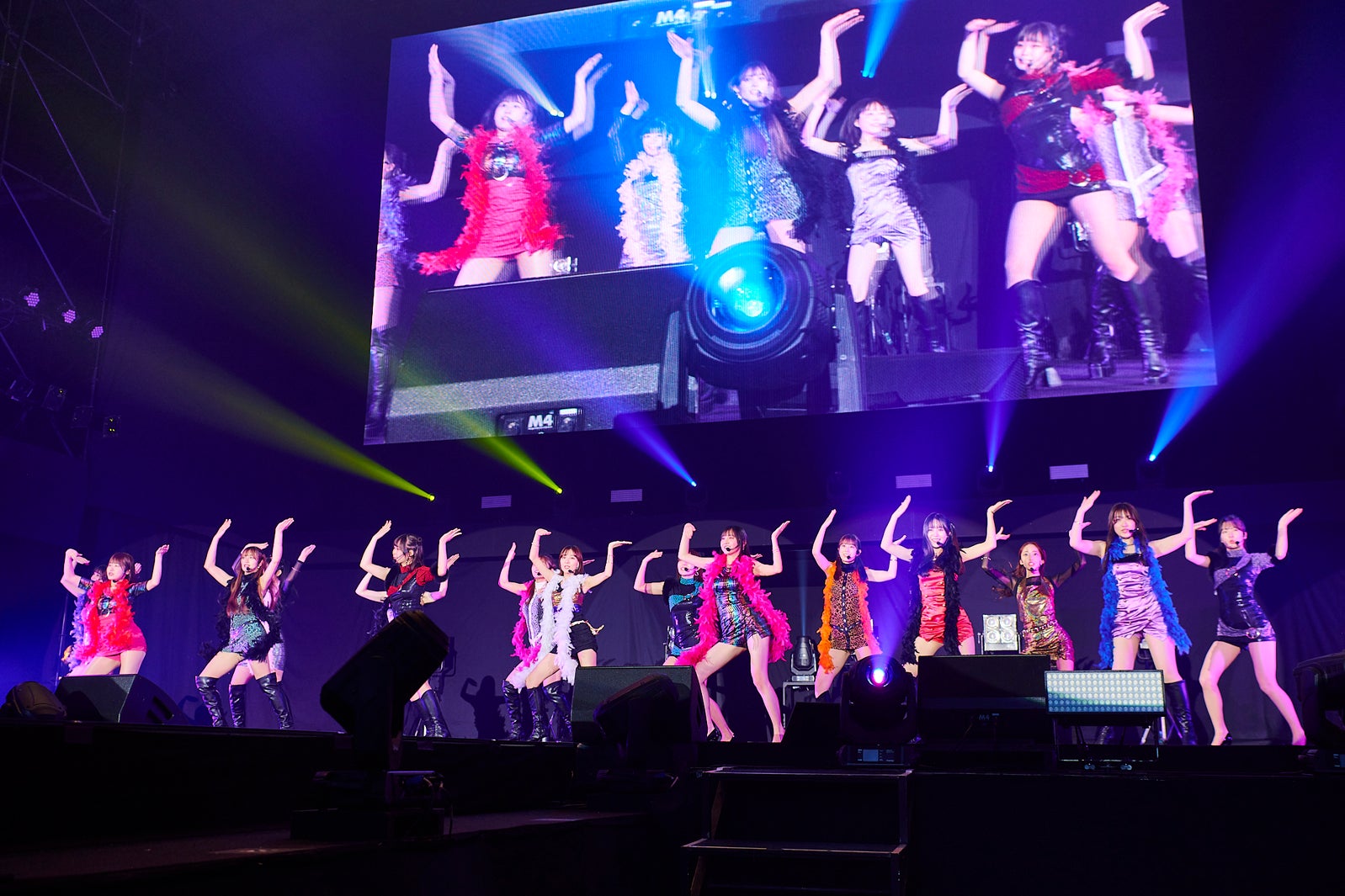 フジコーズ「AGESTOCK2024」撮影：大橋祐希