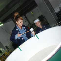 日本酒造りに奮闘する今泉宏美