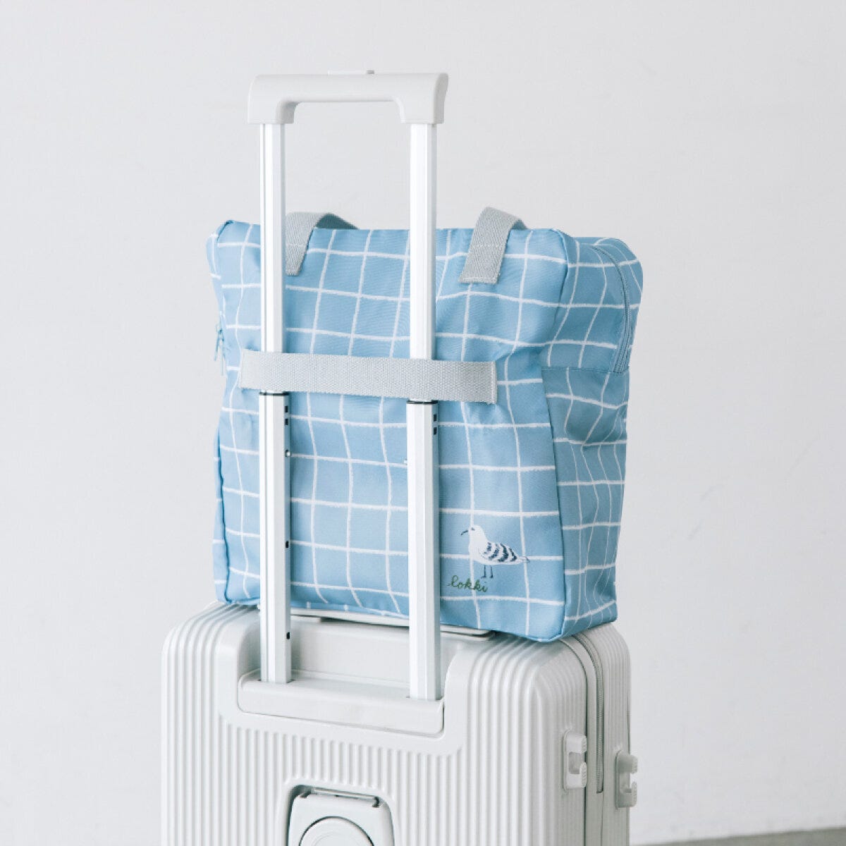 kippis×井上咲楽