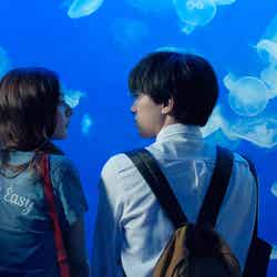 新江ノ島水族館でデートを楽しむ頼（吉沢亮）と雫（新木優子）　（C）2018 白石ユキ・小学館／「あのコの、トリコ。」製作委員会