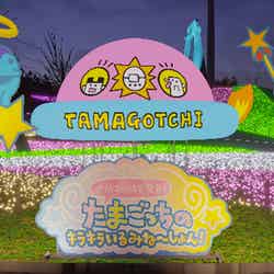 あの!ごっちUFOがやってきた!(提供写真)