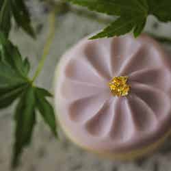 はんなりスイーツ御膳/画像提供:ベストブライダル