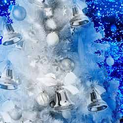 幸せを呼ぶベルをツリーに結ぶ「青の洞窟 SHIBUYA White Bell Tree」/画像提供:日清フーズ