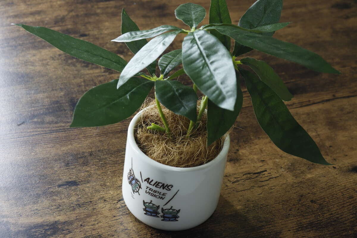 植木鉢（トイ・ストーリー）3号