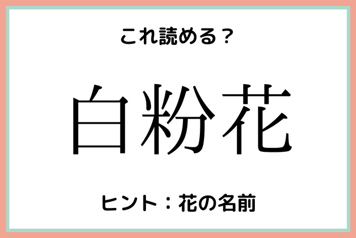 白粉花 って何 読めそうで読めない 難読漢字 4選 モデルプレス