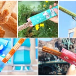11月に東京ディズニーシーで食べられるチュロス総まとめ!