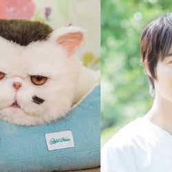 モデルプレス - 神木隆之介「おじさまと猫」ふくまるの声を担当 テレ東ドラマ初出演決定
