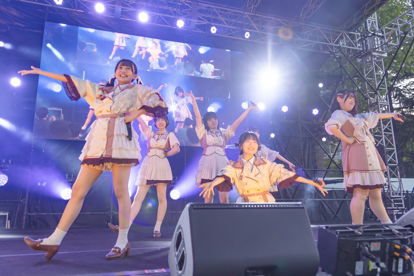 かすみ草とステラ（提供写真）