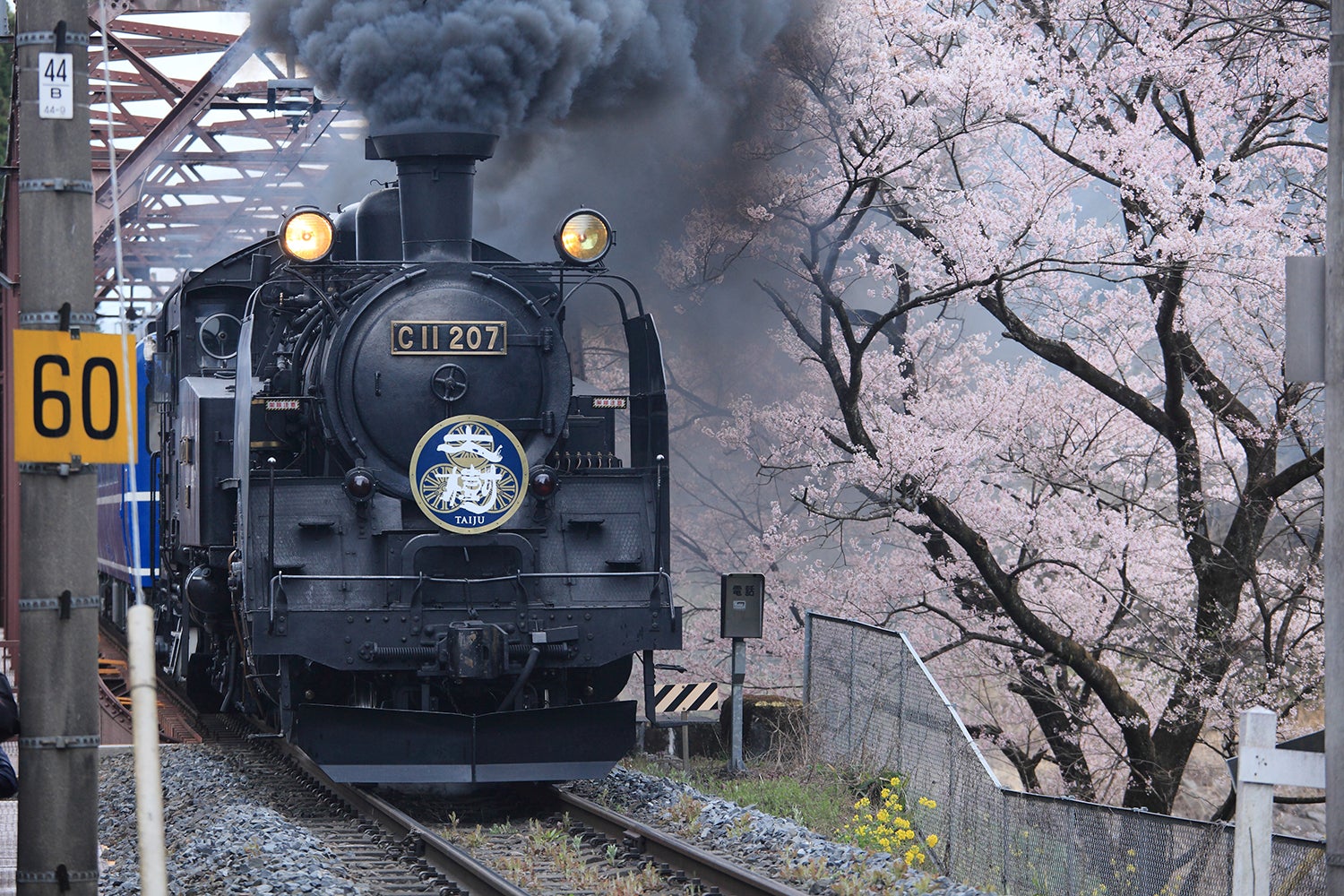 SL大樹（提供画像）