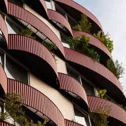 SOIL Nihonbashi Hotel/Photo by Kyouhei Yamamoto