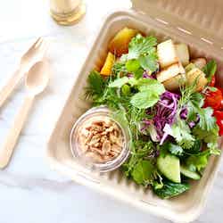 チョップドサラダ、ピーナッツドレッシング - レタス、コールラビ、 赤キャベツ、イエロービーツ/画像提供:bills japan