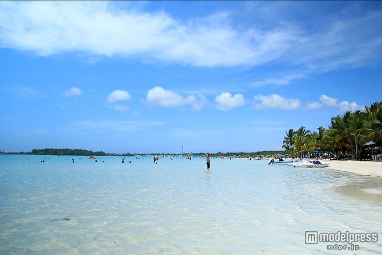 5枚目画像：Parque Colón From Above by puroticorico