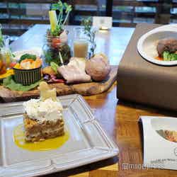 Dear Wan Spa Garden(C)モデルプレス