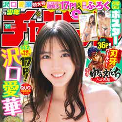 「週刊少年チャンピオン」13号（2月22日発売）表紙：沢口愛華（C）秋田書店