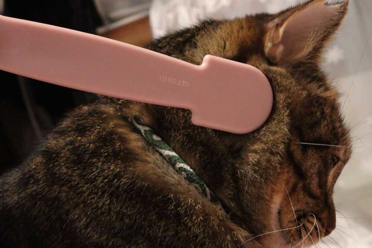 茶トラ猫の首元をピンク色のブラシの小さい方でブラッシング
