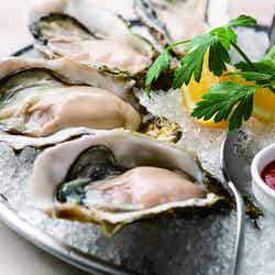 ベンジャミン ステーキハウス 東京ガーデンテラス紀尾井町/画像提供:オーイズミフーズ