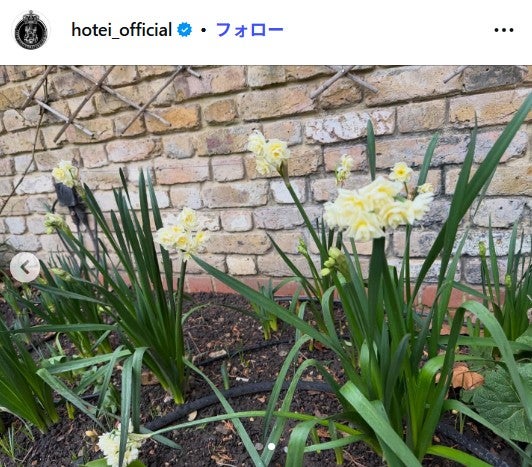 布袋寅泰Instagramより