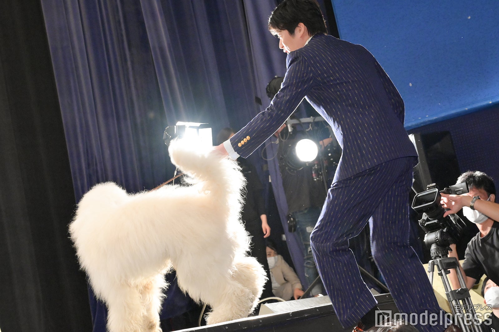 ベックに翻弄される田中圭（C）モデルプレス