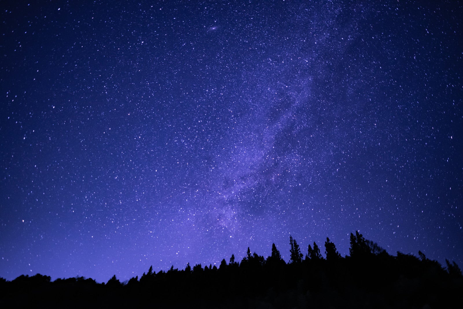 天空の楽園【日本一の星空】ナイトツアー／提供画像