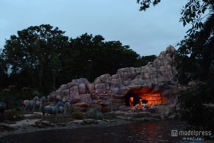 夜のアフリカ大草原/「ジャングルクルーズ:ワイルドライフ・エクスペディション」