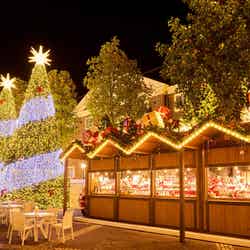 European Holy Christmas ヨーロピアン・ホーリー・クリスマス/提供素材