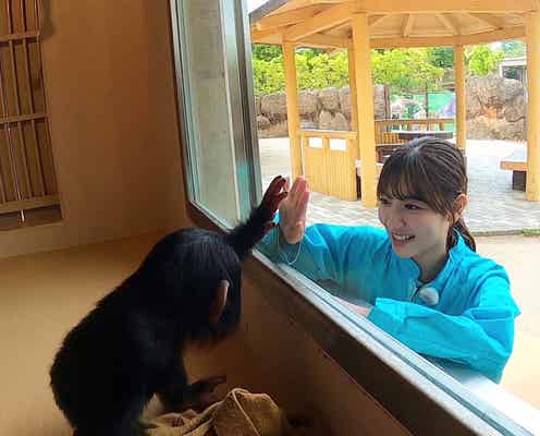 日向坂46河田陽菜、オラウータンの特技に感動「私より賢いんじゃないかなぁ」白石麻衣も驚く