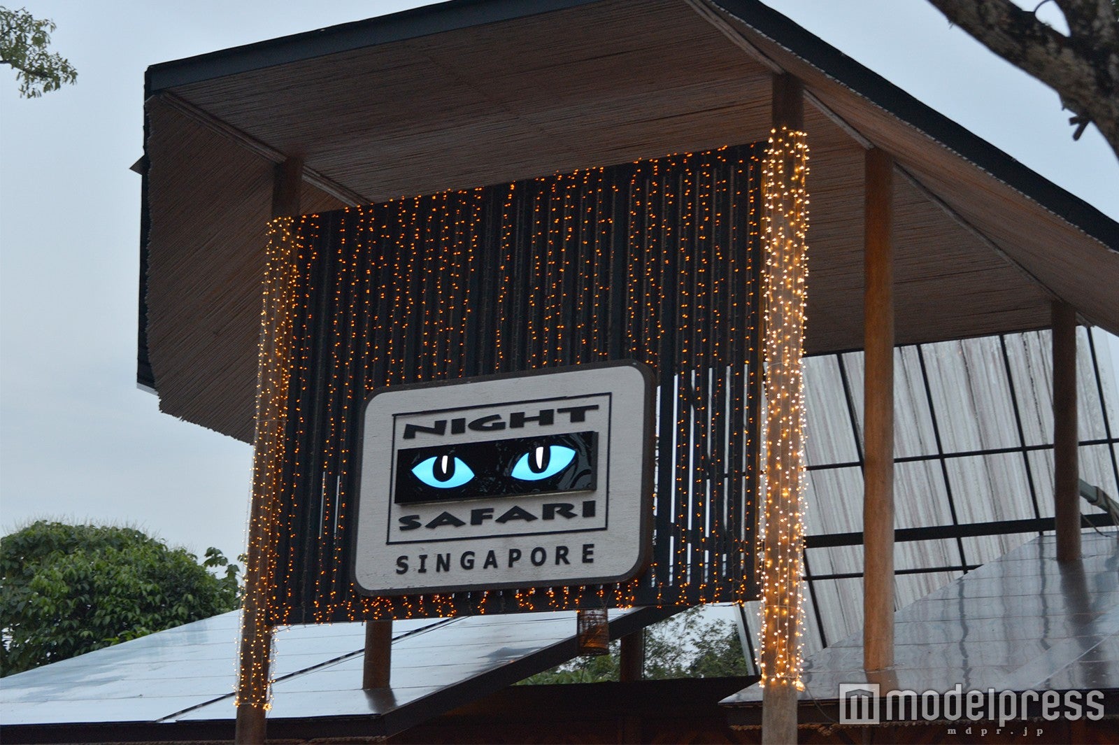 ナイトサファリ （C）モデルプレス