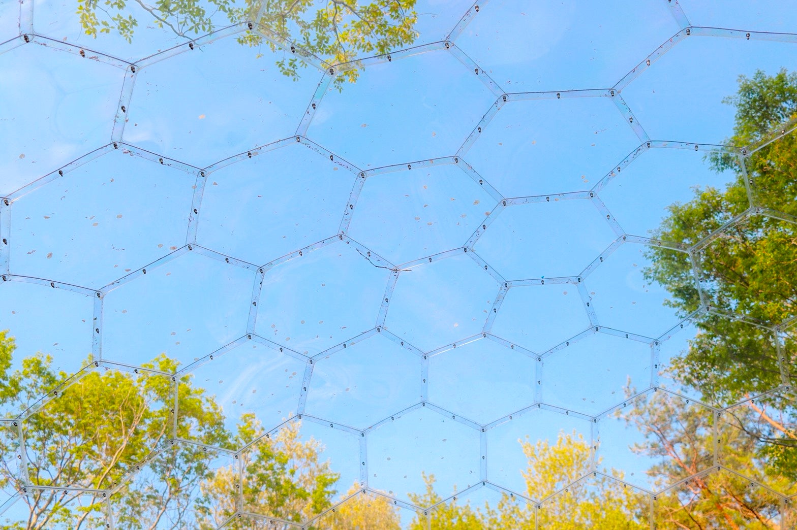 ソランピング／画像提供：日本テーマパーク開発