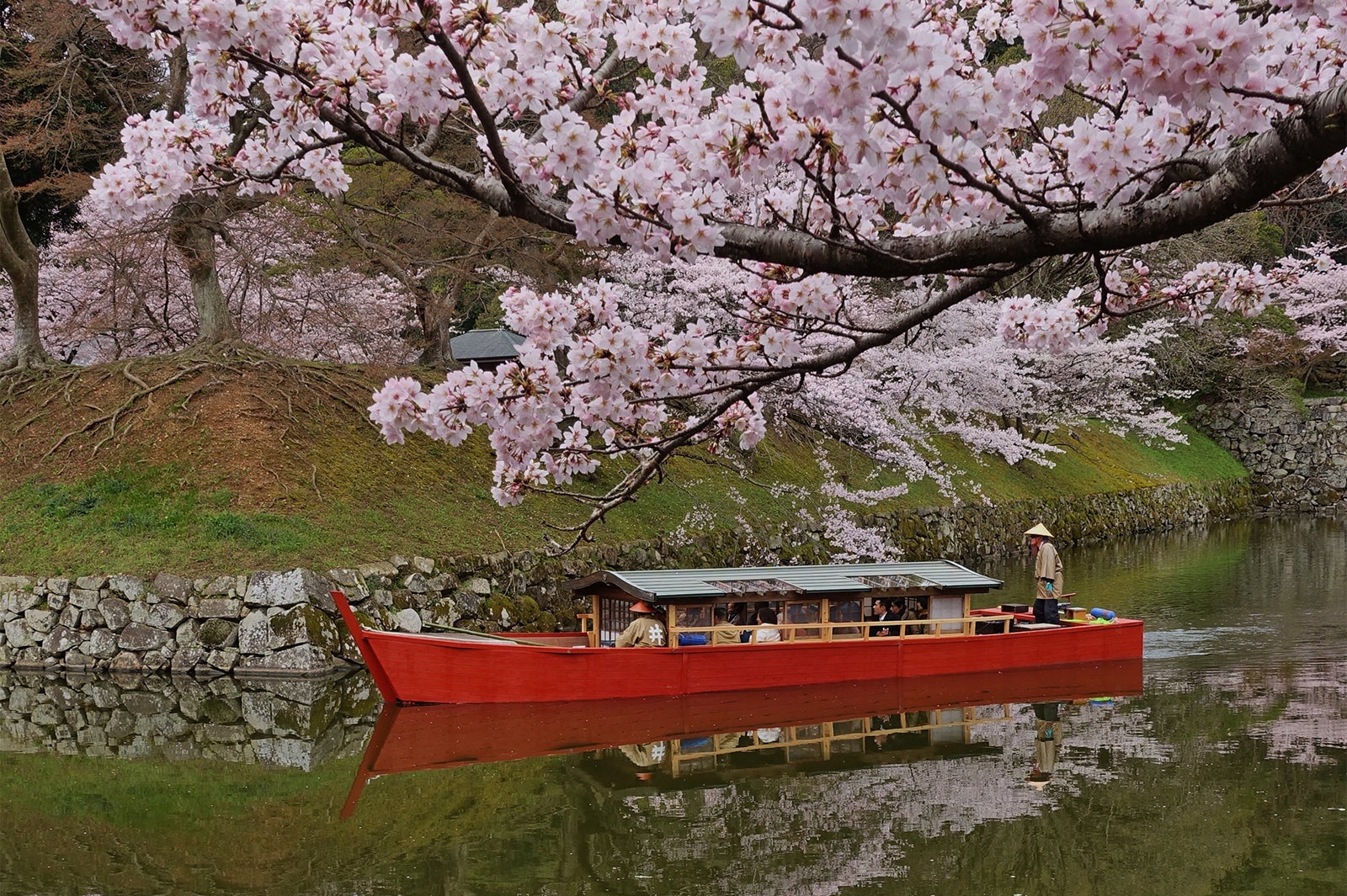 ゆらっと周遊 彦根城お堀めぐり／画像提供：公益社団法人びわこビジターズビューロー