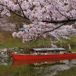 ゆらっと周遊 彦根城お堀めぐり/画像提供:公益社団法人びわこビジターズビューロー