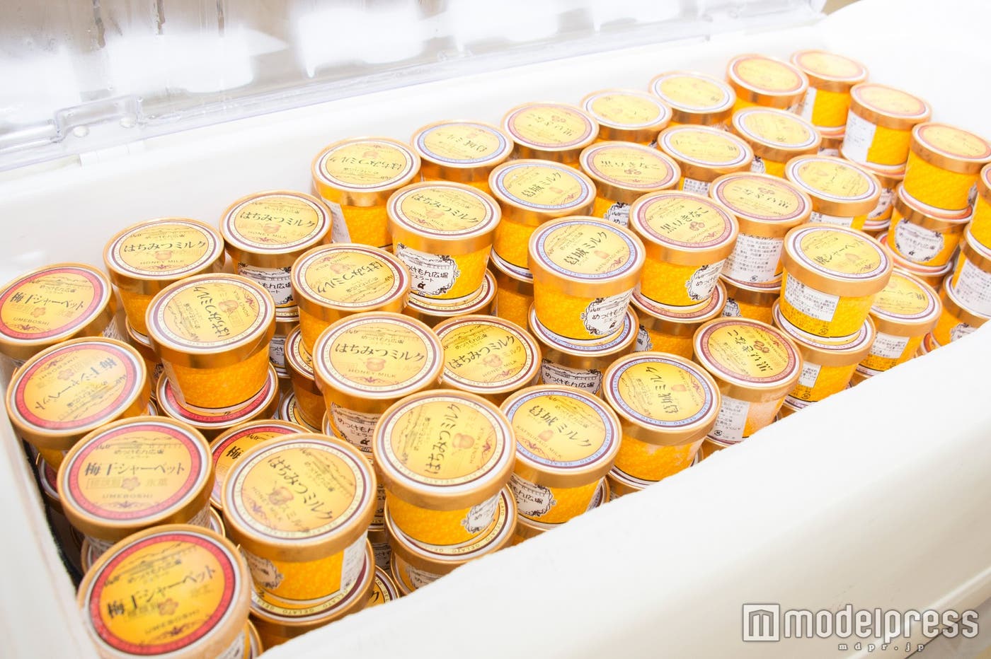 ジェラートは全6種類(C)モデルプレス