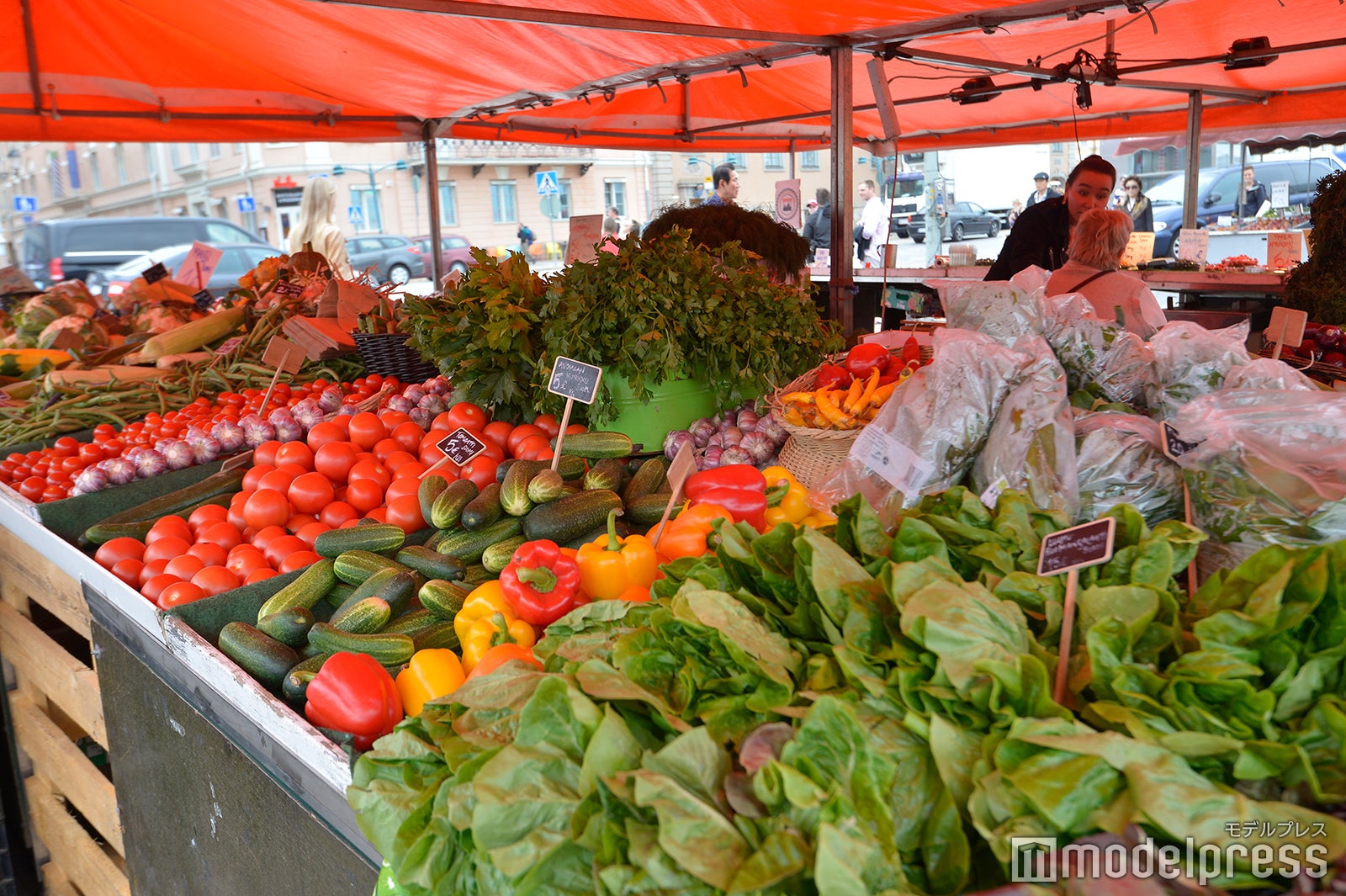 新鮮な野菜やフルーツ、きのこなどが並ぶ朝市 （C）モデルプレス
