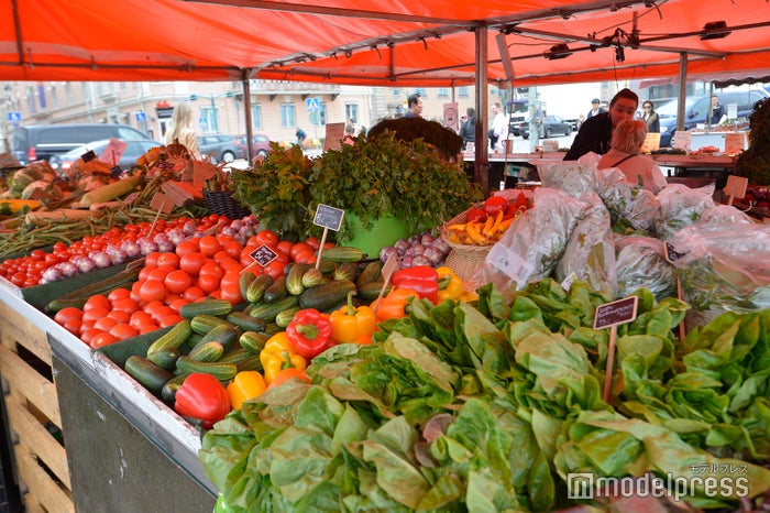 新鮮な野菜やフルーツ、きのこなどが並ぶ朝市 （C）ビューティーガール