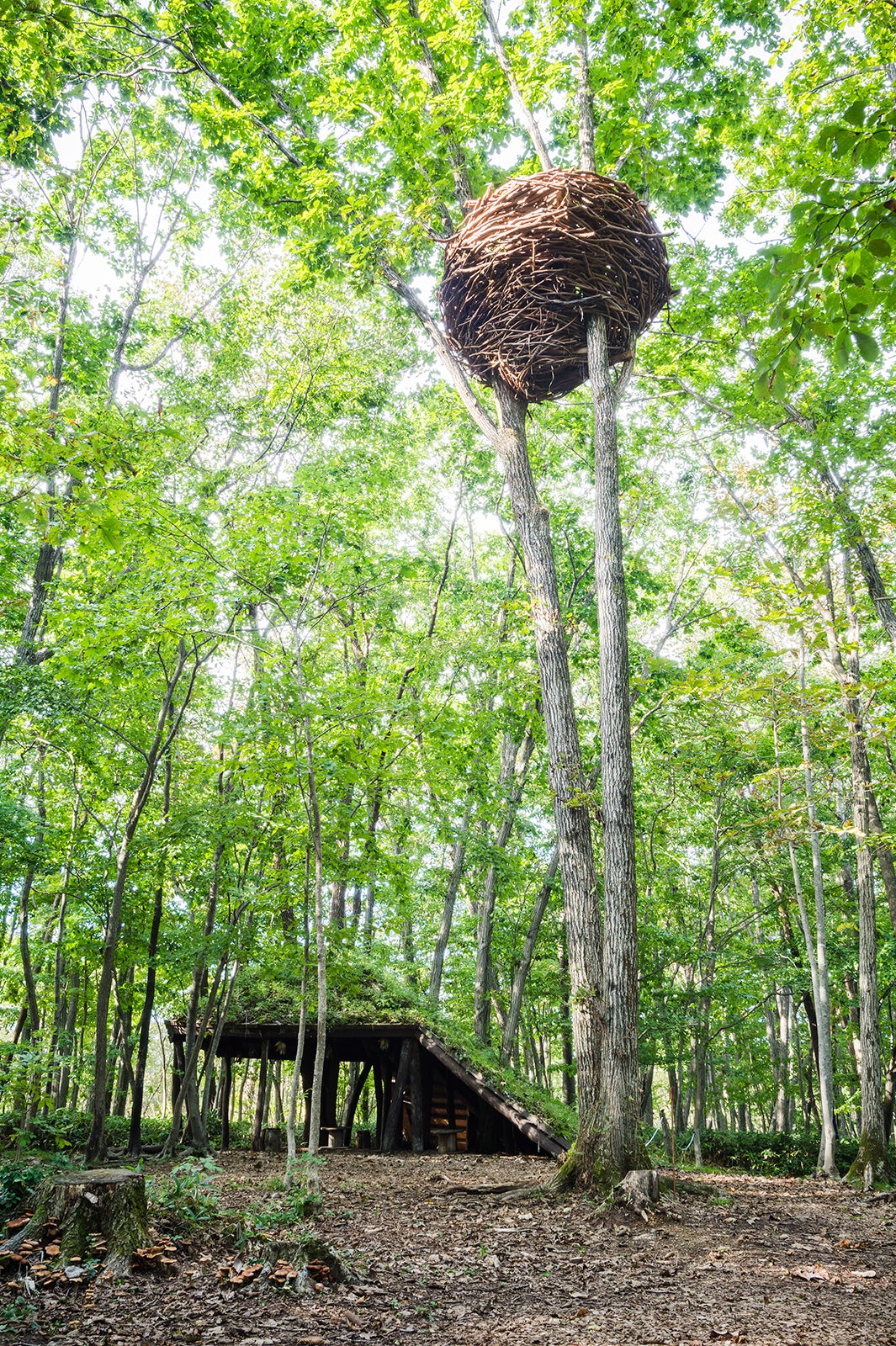 作品イメージ（提供写真）