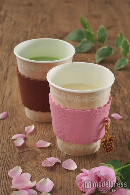 スーベニアスリーブ付き（ピンク／ブラウン）／（C）Disney