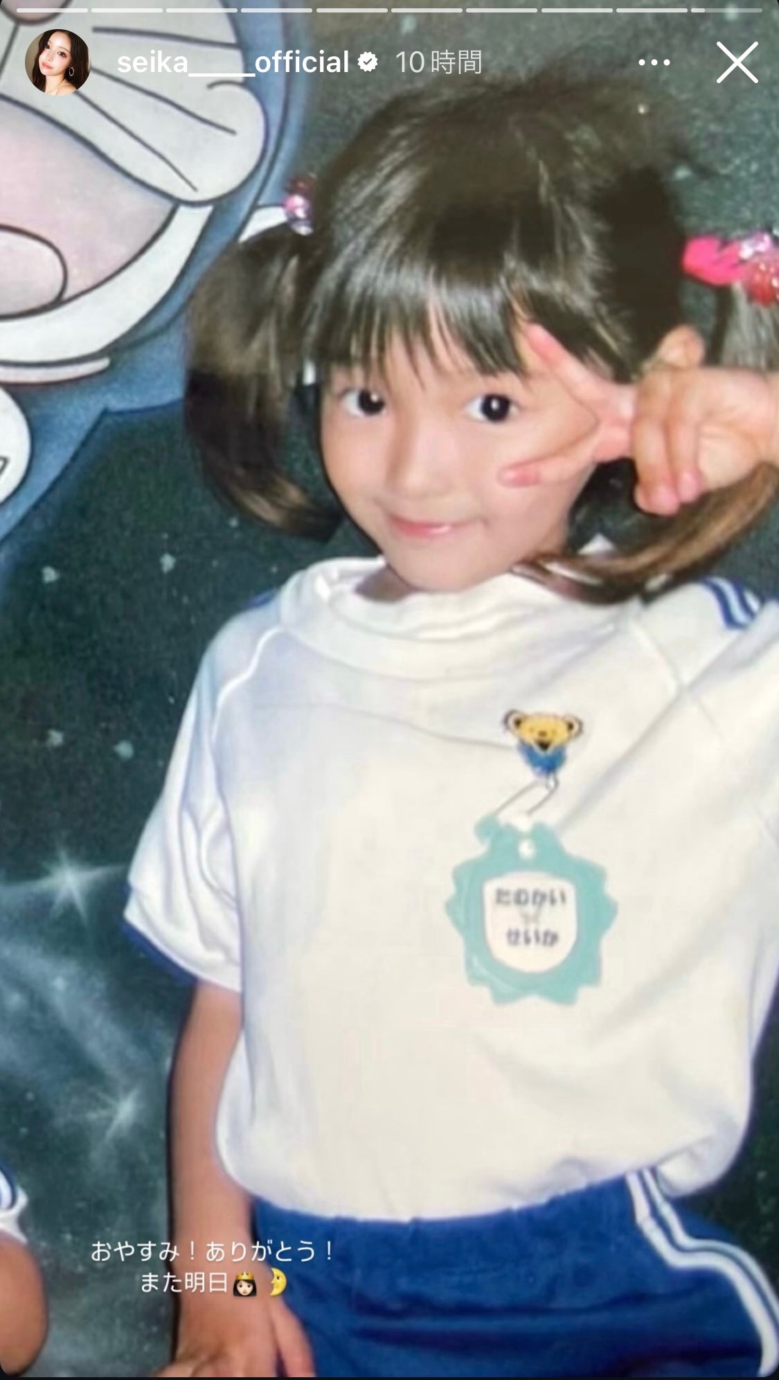 せいせいInstagramストーリーズより